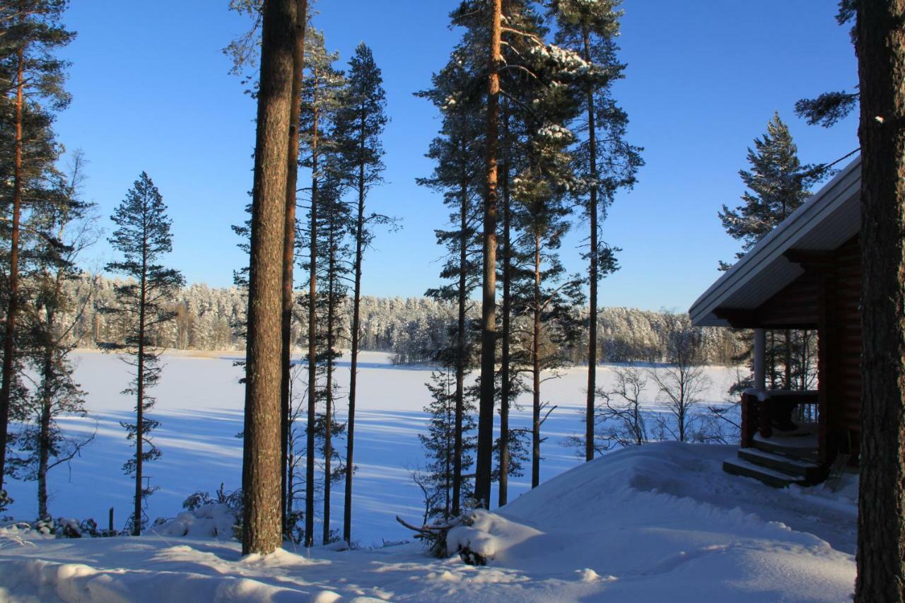 Pankkotupa 16-B Villa Punkaharju Kültér fotó
